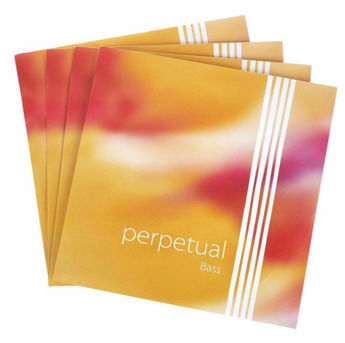 Imagen de Pirastro Double Bass Perpetual Set Solo Mittel