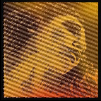 Imagen de Pirastro Violín Evah Pirazzi Gold E   BALL STAINLESS STEEL MITTEL ENVELOPE