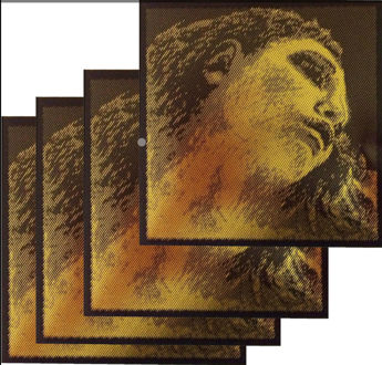 Imagen de Pirastro Violin Evah Pirazzi Gold String set